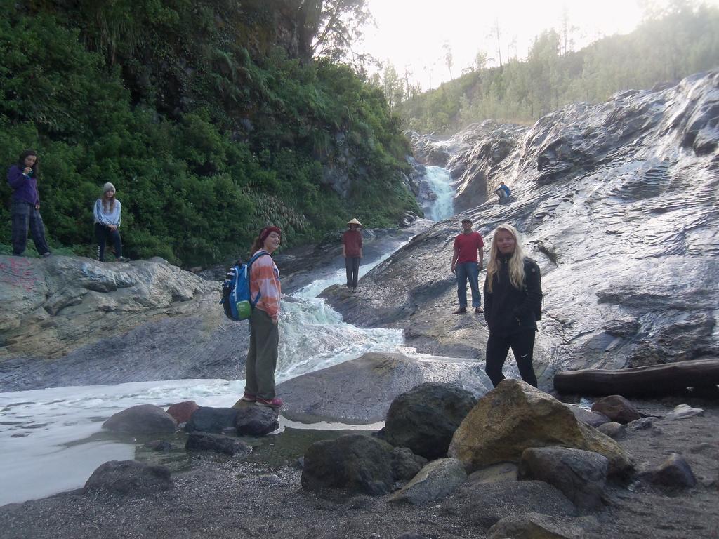 文多禾梭伊真火山民宿 Bondowoso 外观 照片
