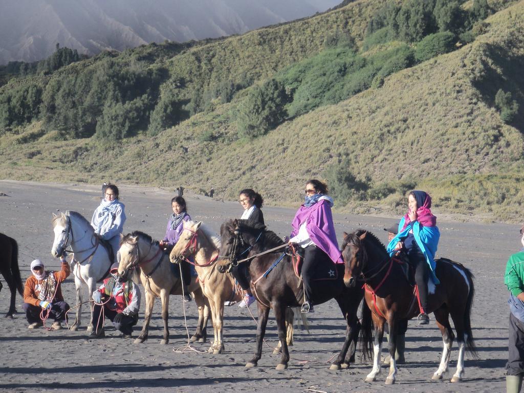 文多禾梭伊真火山民宿 Bondowoso 外观 照片